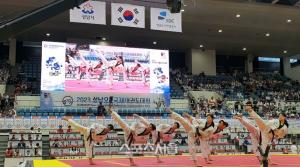 성남 오픈 국제 태권도 대회’ 개막…16개국 4200명 참가